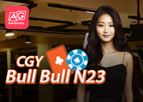 CGY BullBull N23